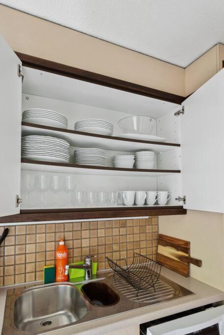 Spacious Apartment In The Heart Of Zurich Zltwg68 المظهر الخارجي الصورة