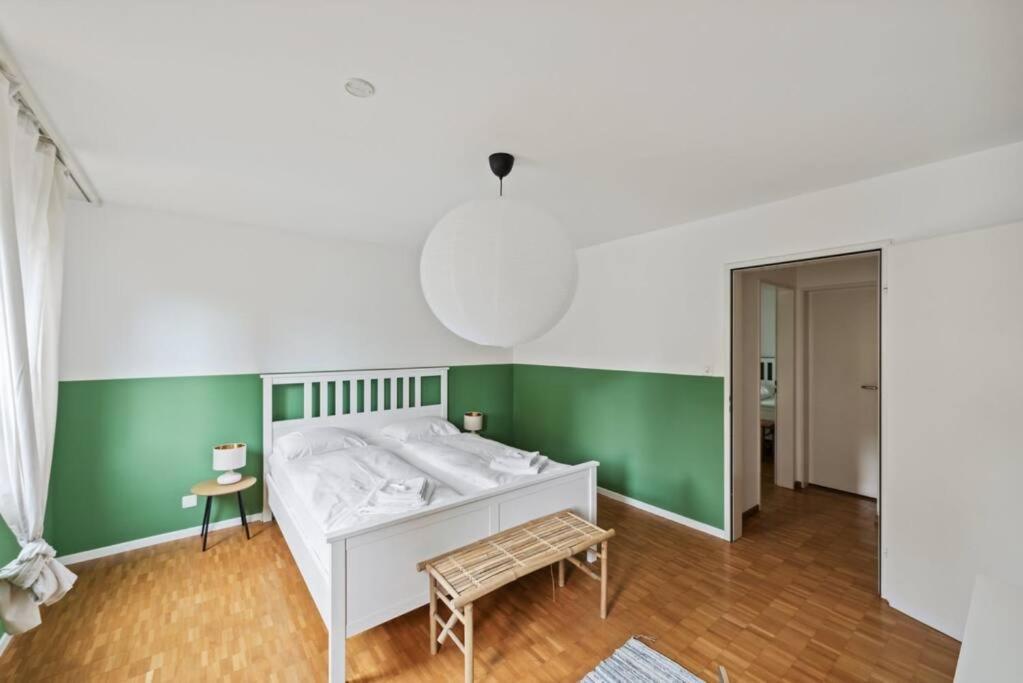 Spacious Apartment In The Heart Of Zurich Zltwg68 المظهر الخارجي الصورة